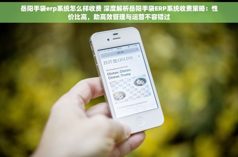 岳阳手袋erp系统怎么样收费 深度解析岳阳手袋ERP系统收费策略：性价比高，助高效管理与运营不容错过
