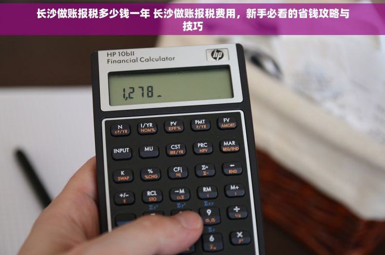 长沙做账报税多少钱一年 长沙做账报税费用，新手必看的省钱攻略与技巧