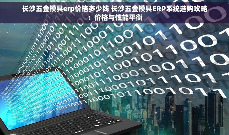 长沙五金模具erp价格多少钱 长沙五金模具ERP系统选购攻略：价格与性能平衡