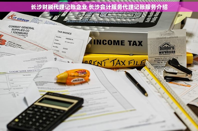 长沙财税代理记账企业 长沙会计服务代理记账服务介绍