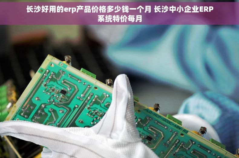 长沙好用的erp产品价格多少钱一个月 长沙中小企业ERP系统特价每月