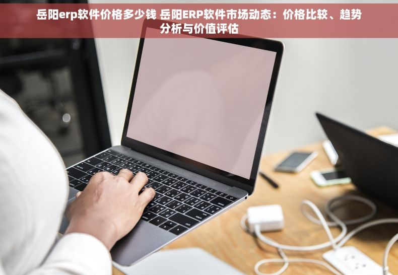 岳阳erp软件价格多少钱 岳阳ERP软件市场动态：价格比较、趋势分析与价值评估