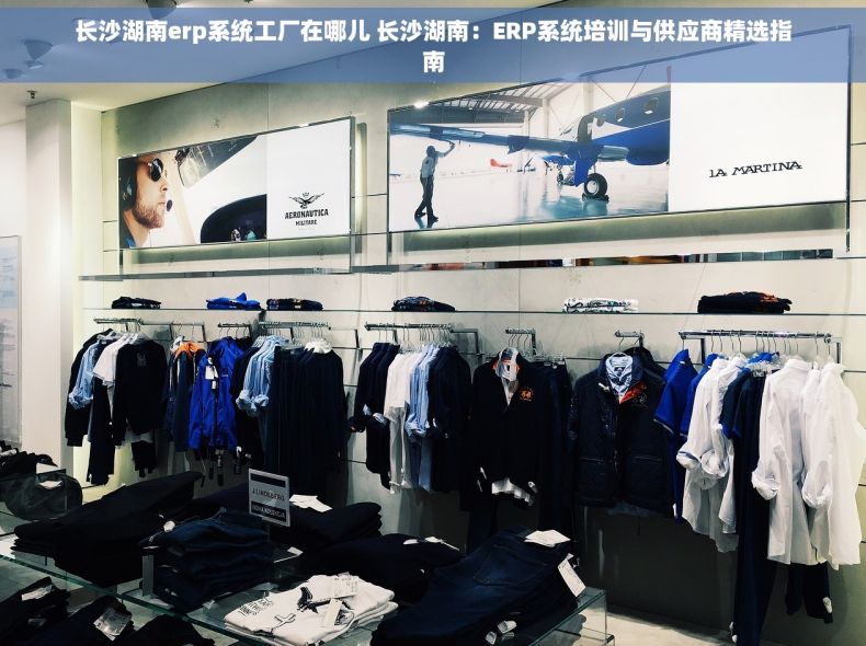 长沙湖南erp系统工厂在哪儿 长沙湖南：ERP系统培训与供应商精选指南