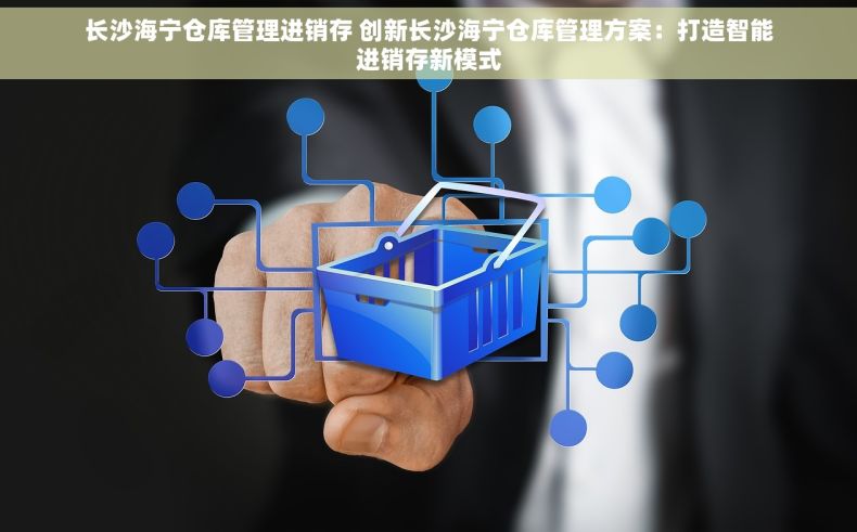 长沙海宁仓库管理进销存 创新长沙海宁仓库管理方案：打造智能进销存新模式