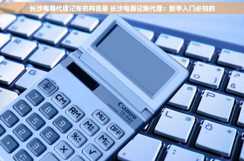 长沙电商代理记账机构名录 长沙电商记账代理：新手入门必知的