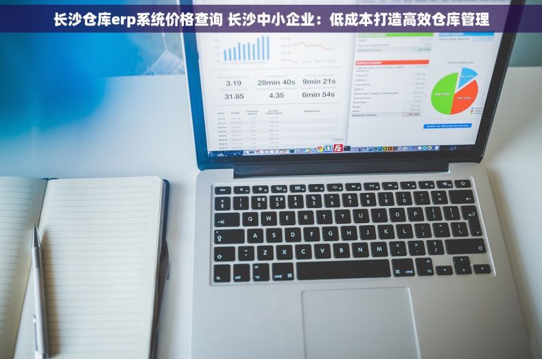 长沙仓库erp系统价格查询 长沙中小企业：低成本打造高效仓库管理