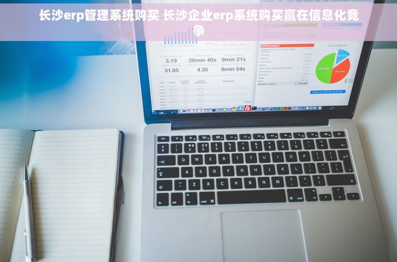 长沙erp管理系统购买 长沙企业erp系统购买赢在信息化竞争