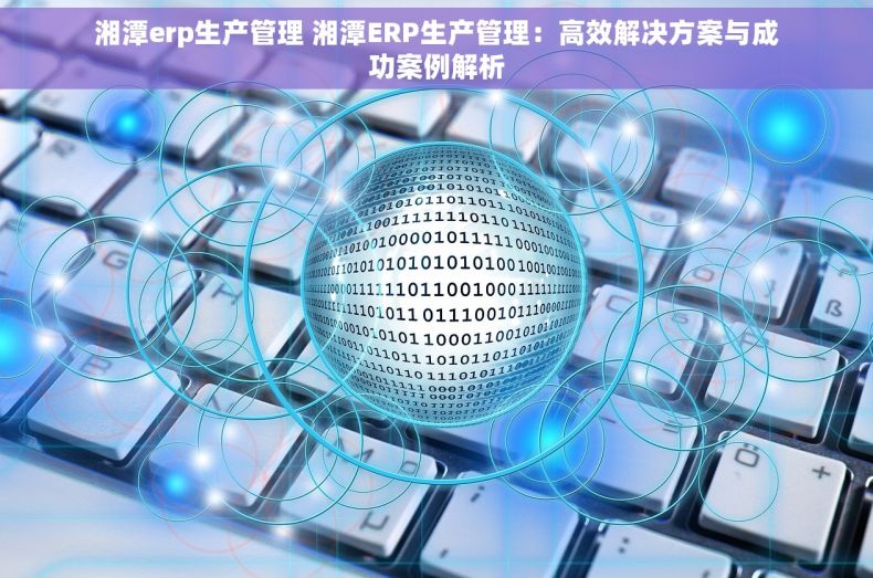 湘潭erp生产管理 湘潭ERP生产管理：高效解决方案与成功案例解析