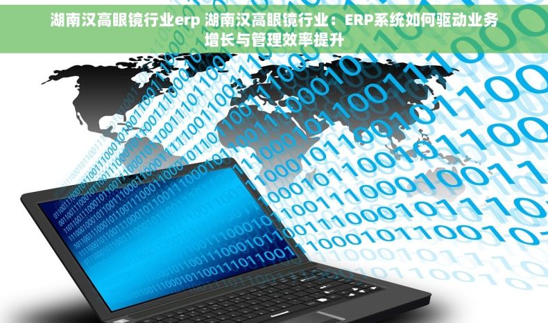 湖南汉高眼镜行业erp 湖南汉高眼镜行业：ERP系统如何驱动业务增长与管理效率提升