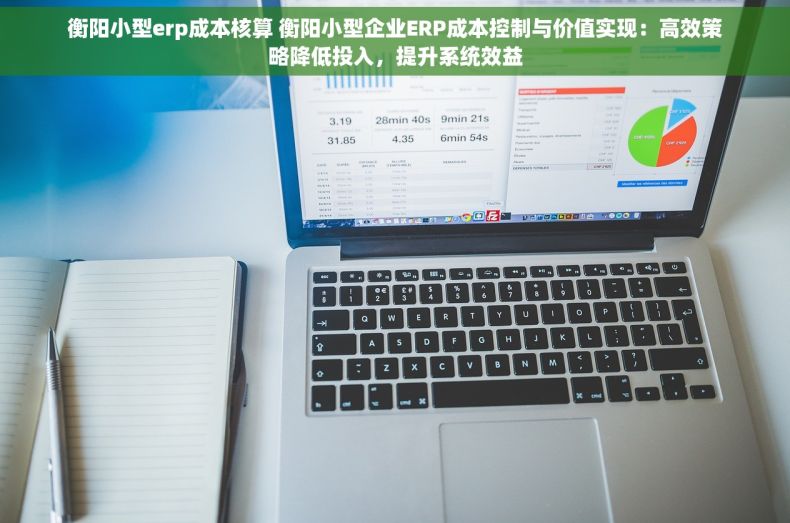 衡阳小型erp成本核算 衡阳小型企业ERP成本控制与价值实现：高效策略降低投入，提升系统效益