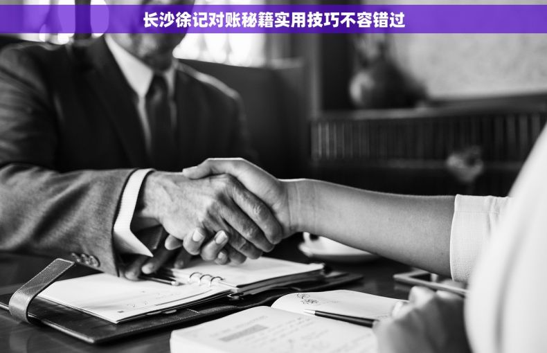 长沙徐记对账秘籍实用技巧不容错过