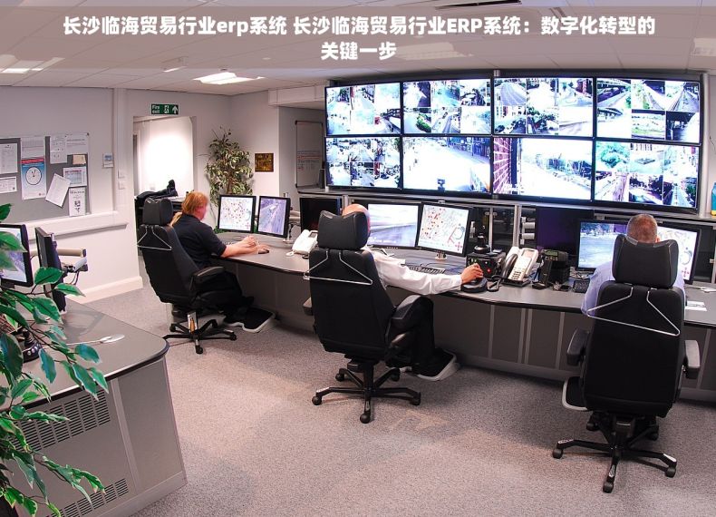 长沙临海贸易行业erp系统 长沙临海贸易行业ERP系统：数字化转型的关键一步
