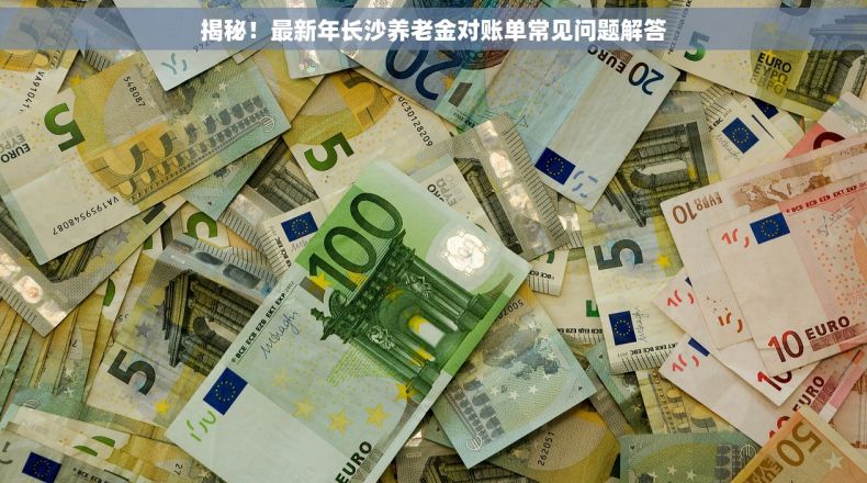 揭秘！最新年长沙养老金对账单常见问题解答