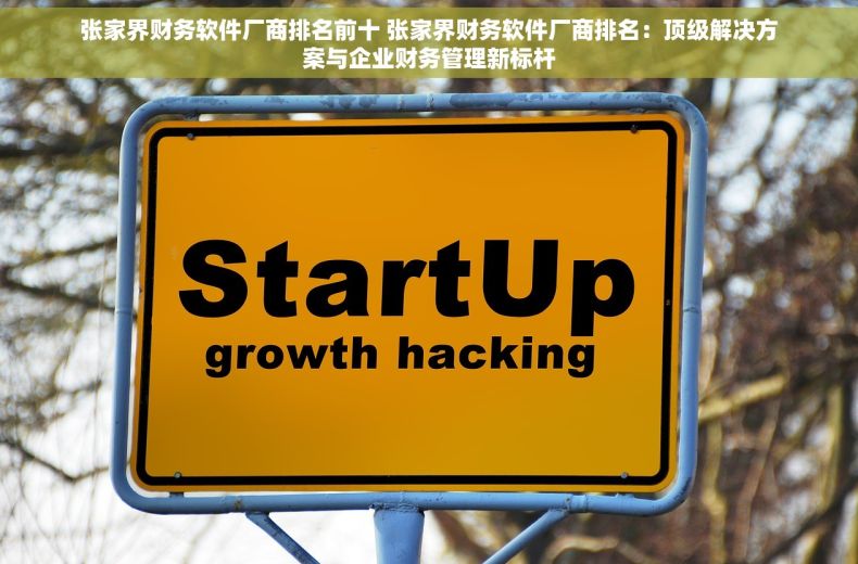 张家界财务软件厂商排名前十 张家界财务软件厂商排名：顶级解决方案与企业财务管理新标杆