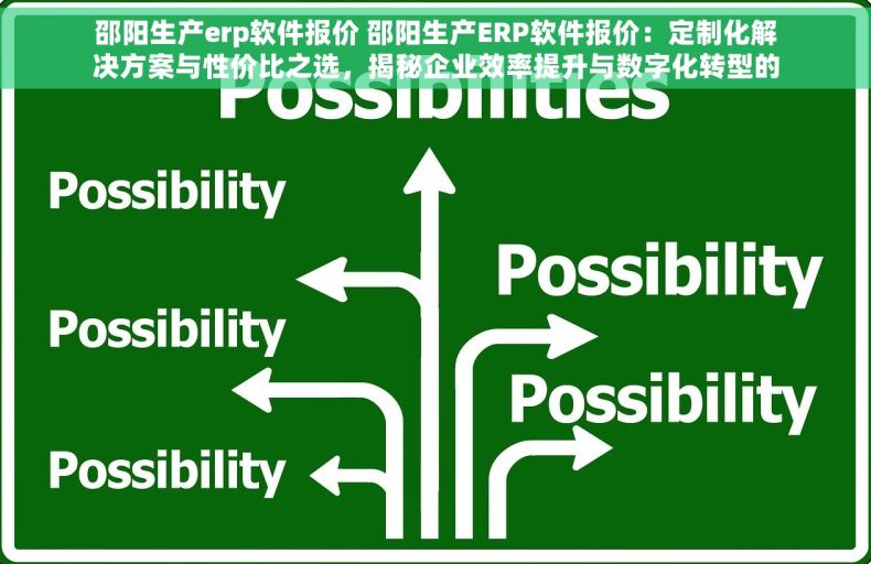 邵阳生产erp软件报价 邵阳生产ERP软件报价：定制化解决方案与性价比之选，揭秘企业效率提升与数字化转型的利器