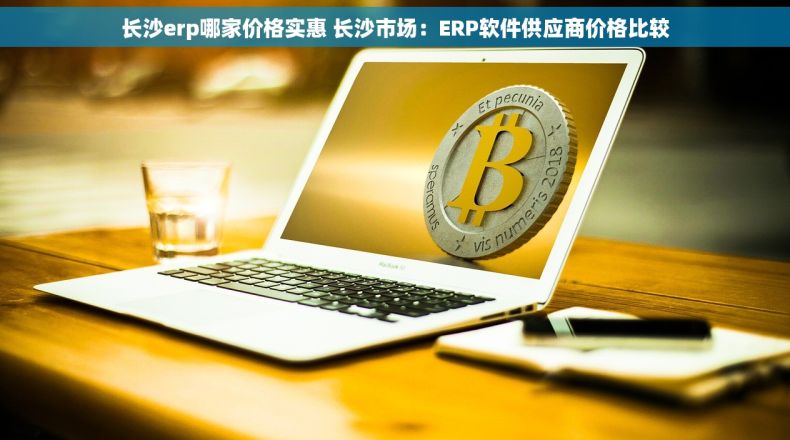 长沙erp哪家价格实惠 长沙市场：ERP软件供应商价格比较
