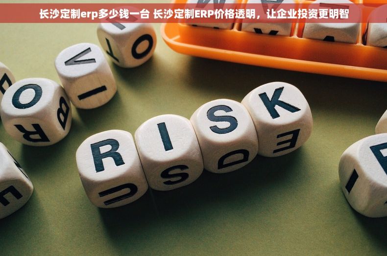 长沙定制erp多少钱一台 长沙定制ERP价格透明，让企业投资更明智