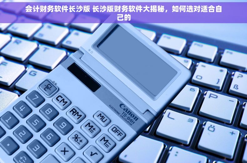 会计财务软件长沙版 长沙版财务软件大揭秘，如何选对适合自己的