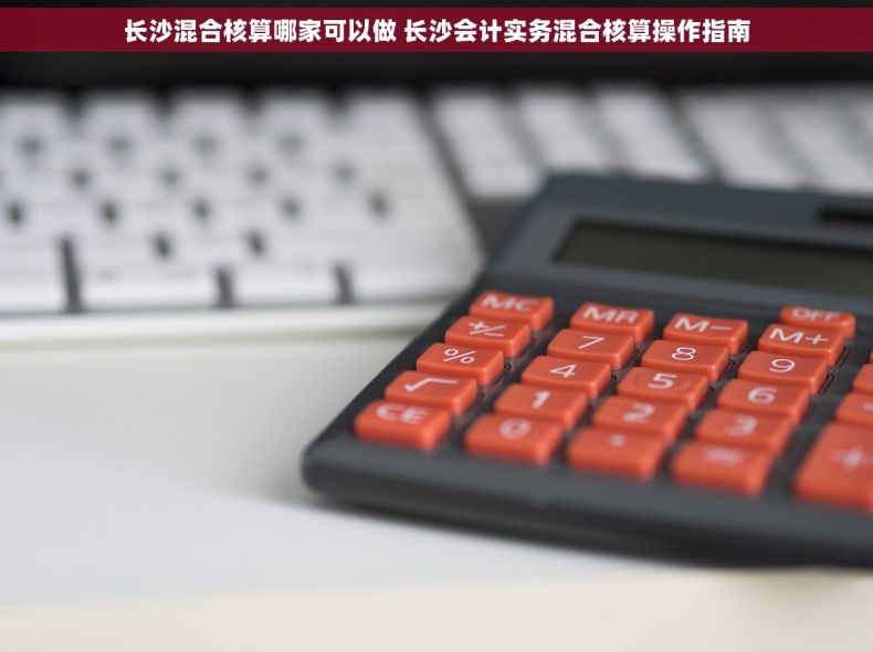 长沙混合核算哪家可以做 长沙会计实务混合核算操作指南
