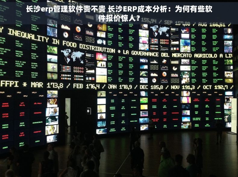 长沙erp管理软件贵不贵 长沙ERP成本分析：为何有些软件报价惊人？
