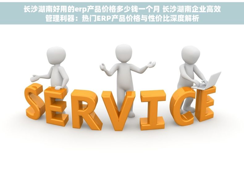 长沙湖南好用的erp产品价格多少钱一个月 长沙湖南企业高效管理利器：热门ERP产品价格与性价比深度解析