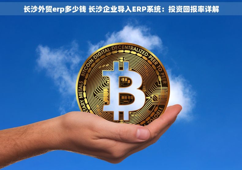 长沙外贸erp多少钱 长沙企业导入ERP系统：投资回报率详解