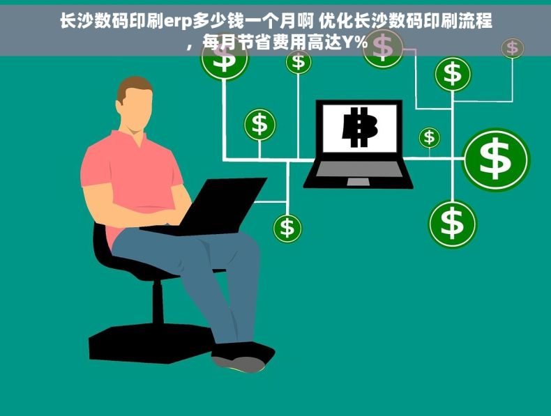 长沙数码印刷erp多少钱一个月啊 优化长沙数码印刷流程，每月节省费用高达Y%