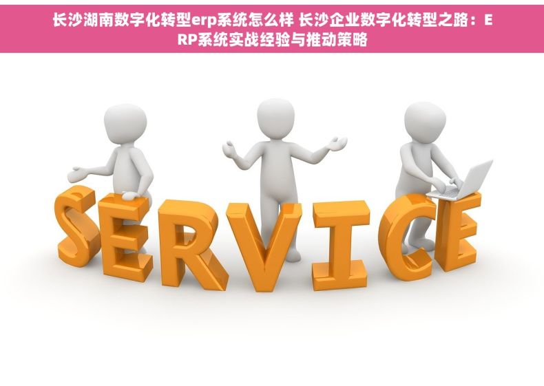 长沙湖南数字化转型erp系统怎么样 长沙企业数字化转型之路：ERP系统实战经验与推动策略