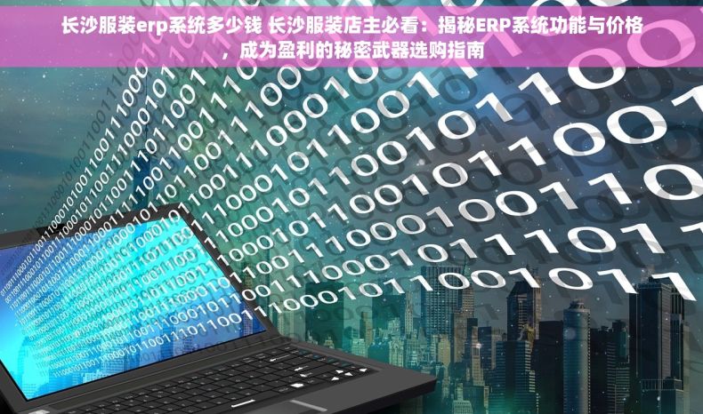 长沙服装erp系统多少钱 长沙服装店主必看：揭秘ERP系统功能与价格，成为盈利的秘密武器选购指南