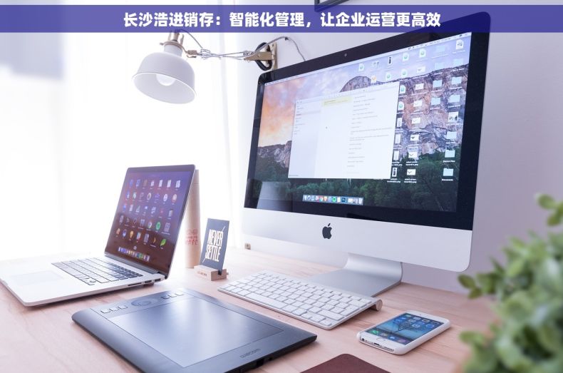 长沙浩进销存：智能化管理，让企业运营更高效