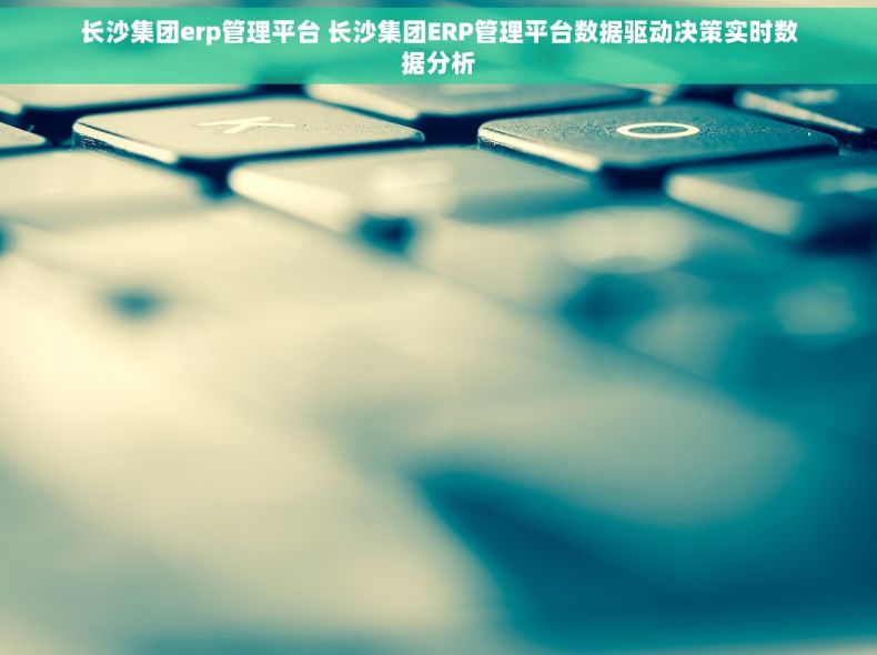 长沙集团erp管理平台 长沙集团ERP管理平台数据驱动决策实时数据分析
