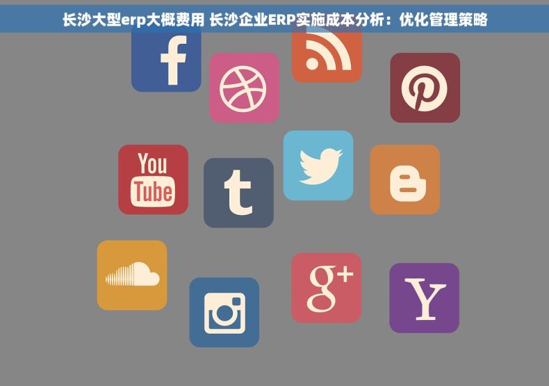 长沙大型erp大概费用 长沙企业ERP实施成本分析：优化管理策略