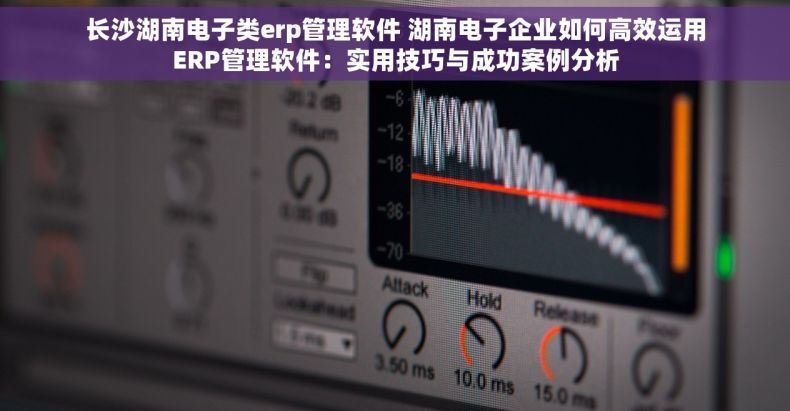 长沙湖南电子类erp管理软件 湖南电子企业如何高效运用ERP管理软件：实用技巧与成功案例分析