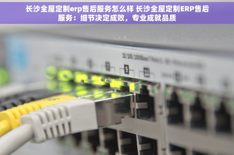 长沙全屋定制erp售后服务怎么样 长沙全屋定制ERP售后服务：细节决定成败，专业成就品质