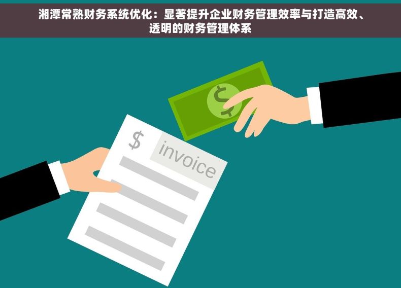 湘潭常熟财务系统优化：显著提升企业财务管理效率与打造高效、透明的财务管理体系
