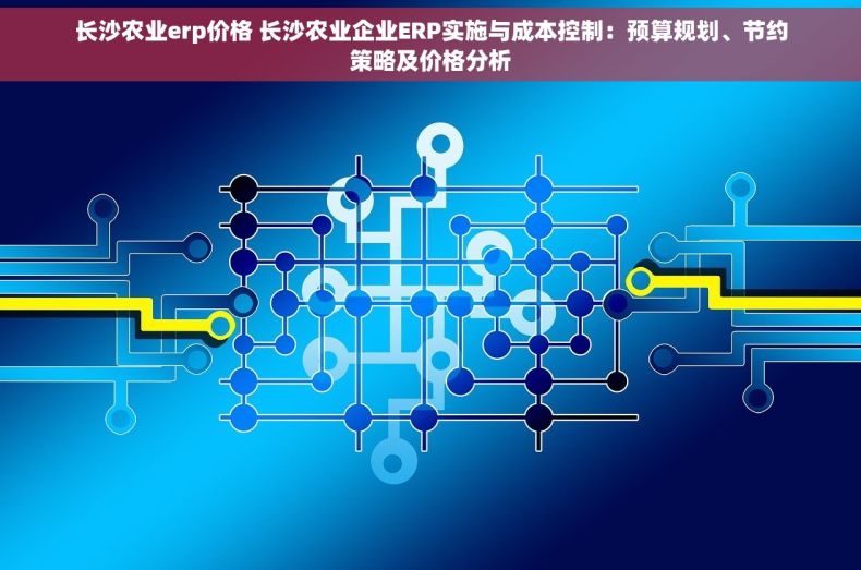 长沙农业erp价格 长沙农业企业ERP实施与成本控制：预算规划、节约策略及价格分析