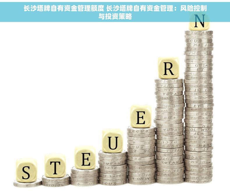 长沙塔牌自有资金管理额度 长沙塔牌自有资金管理：风险控制与投资策略