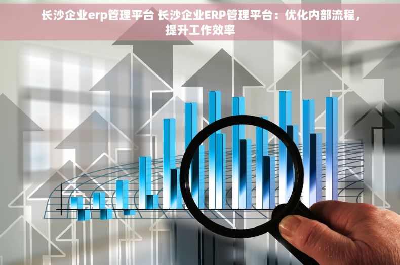 长沙企业erp管理平台 长沙企业ERP管理平台：优化内部流程，提升工作效率