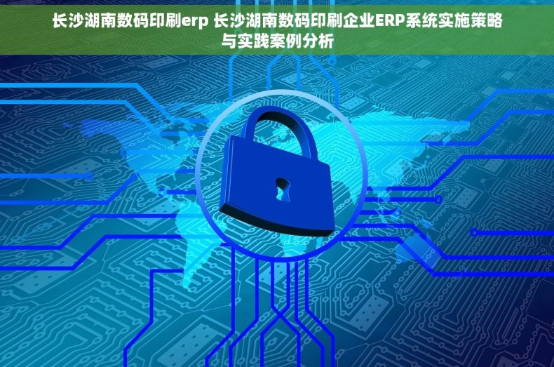 长沙湖南数码印刷erp 长沙湖南数码印刷企业ERP系统实施策略与实践案例分析