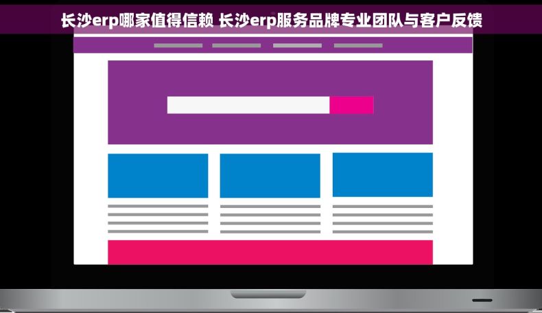 长沙erp哪家值得信赖 长沙erp服务品牌专业团队与客户反馈
