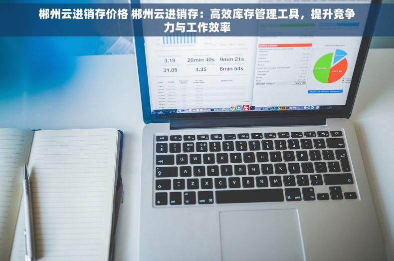 郴州云进销存价格 郴州云进销存：高效库存管理工具，提升竞争力与工作效率