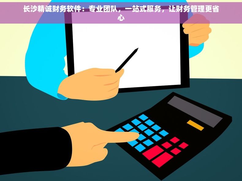 长沙精诚财务软件：专业团队，一站式服务，让财务管理更省心