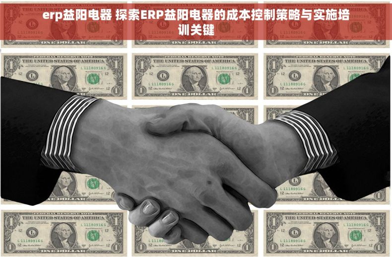 erp益阳电器 探索ERP益阳电器的成本控制策略与实施培训关键