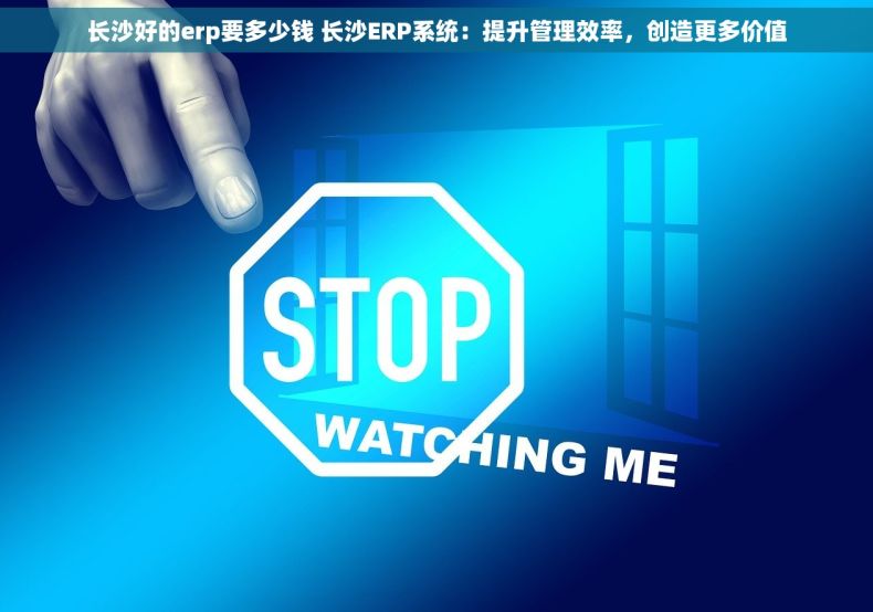长沙好的erp要多少钱 长沙ERP系统：提升管理效率，创造更多价值