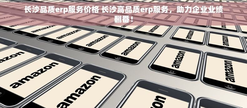 长沙品质erp服务价格 长沙高品质erp服务，助力企业业绩翻番！