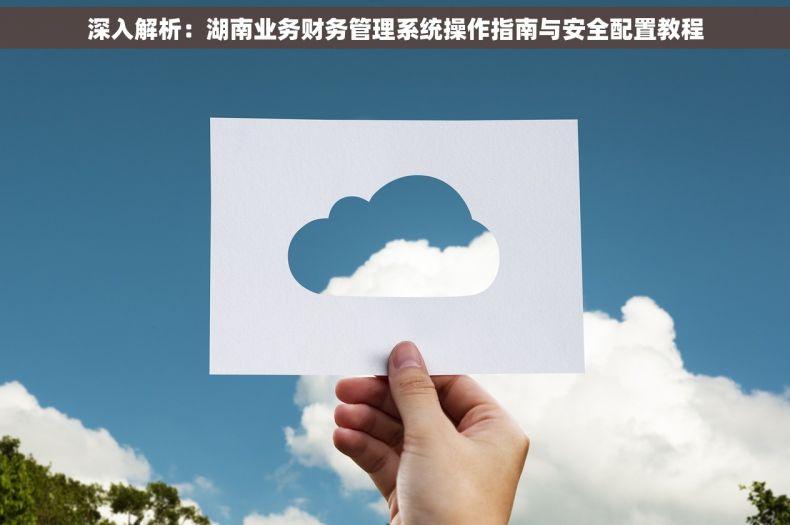 深入解析：湖南业务财务管理系统操作指南与安全配置教程