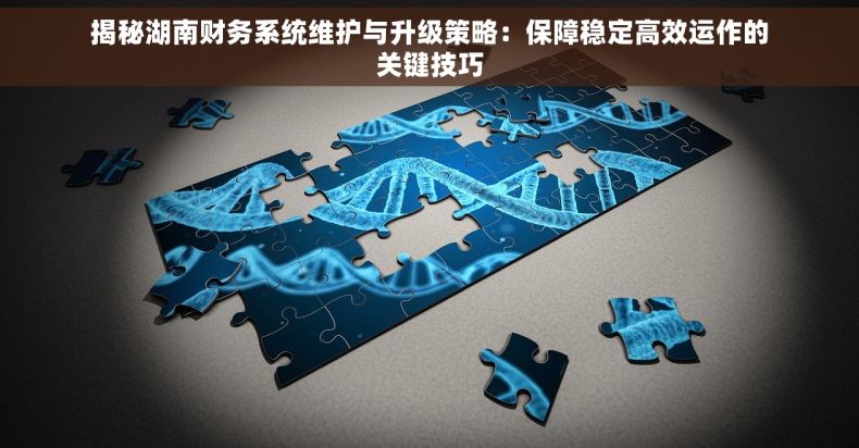 揭秘湖南财务系统维护与升级策略：保障稳定高效运作的关键技巧