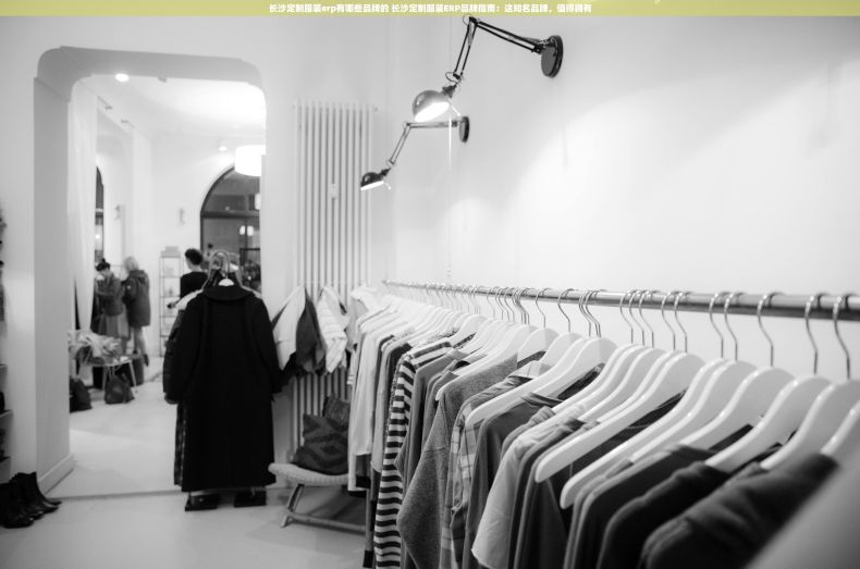 长沙定制服装erp有哪些品牌的 长沙定制服装ERP品牌指南：这知名品牌，值得拥有