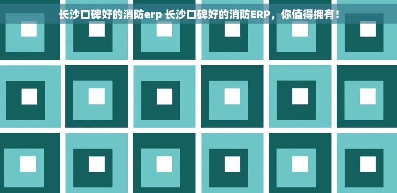 长沙口碑好的消防erp 长沙口碑好的消防ERP，你值得拥有！