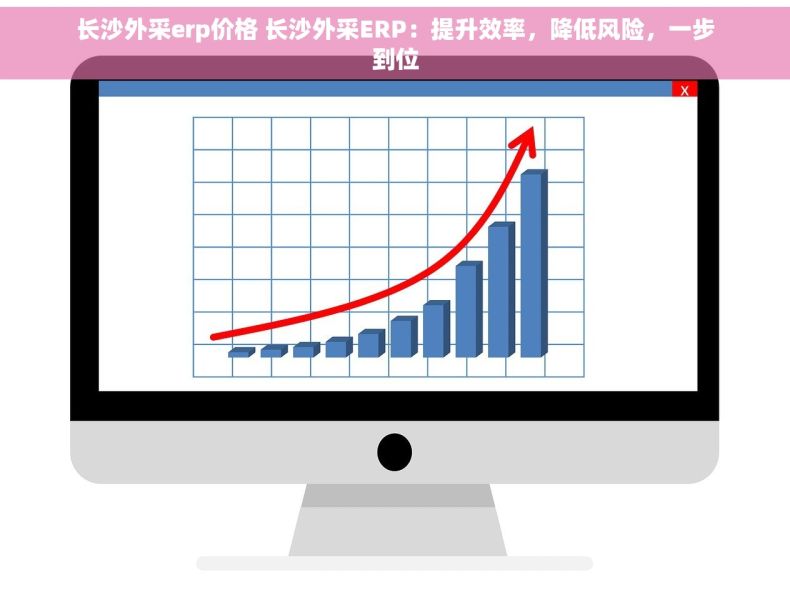 长沙外采erp价格 长沙外采ERP：提升效率，降低风险，一步到位